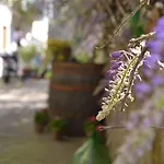 Alojamento de Acomodação e Pequeno-almoço Experience Sorrento