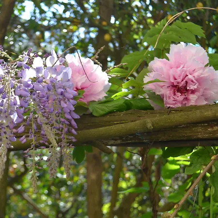 Experience לינה וארוחת בוקר 4*