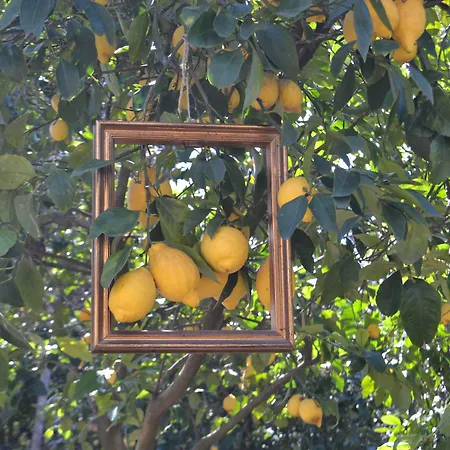 לינה וארוחת בוקר Experience 4*