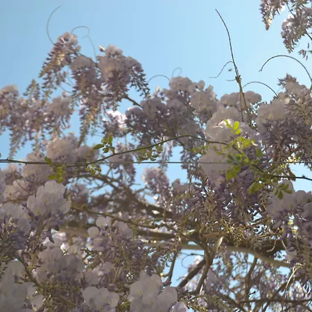 לינה וארוחת בוקר Experience סורנטו