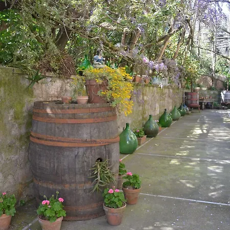 לינה וארוחת בוקר Experience 4*