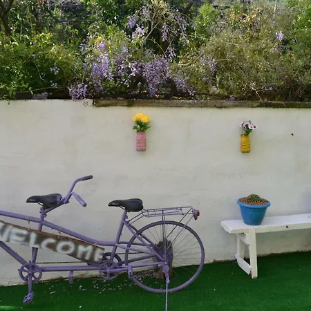 Experience לינה וארוחת בוקר 4*