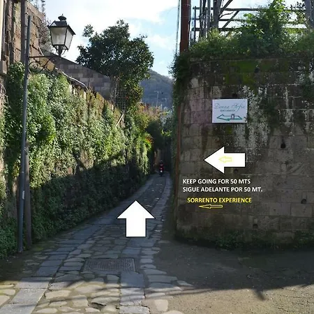 לינה וארוחת בוקר Experience