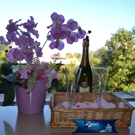 Experience 4* سورينتو