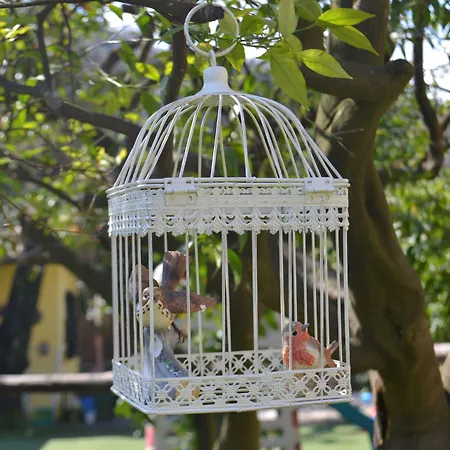 Experience 4* سورينتو