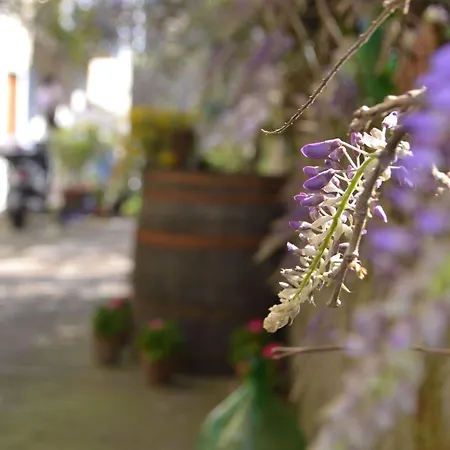 Bed & Breakfast Experience Sorrento