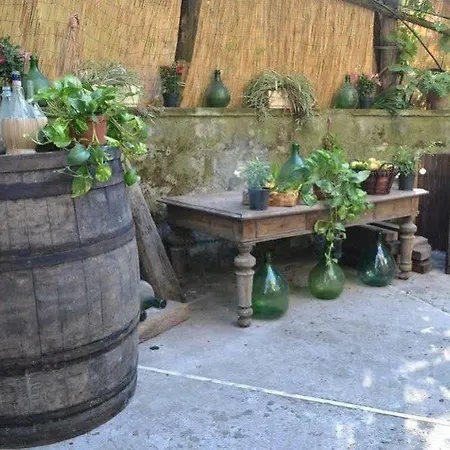 Experience Sorrento