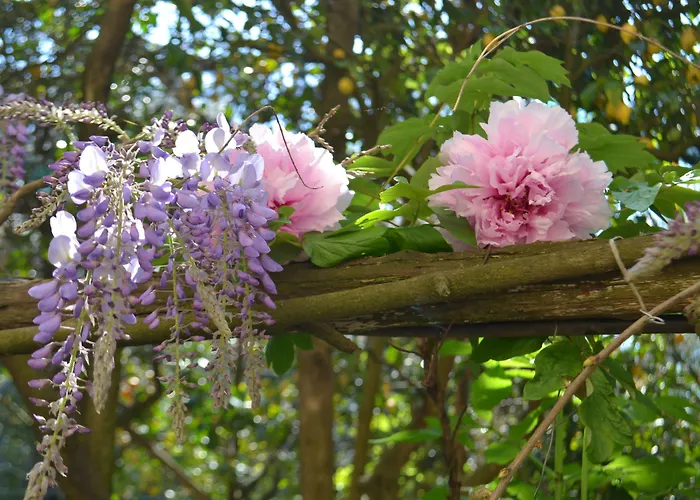 Experience Couette-café 4*