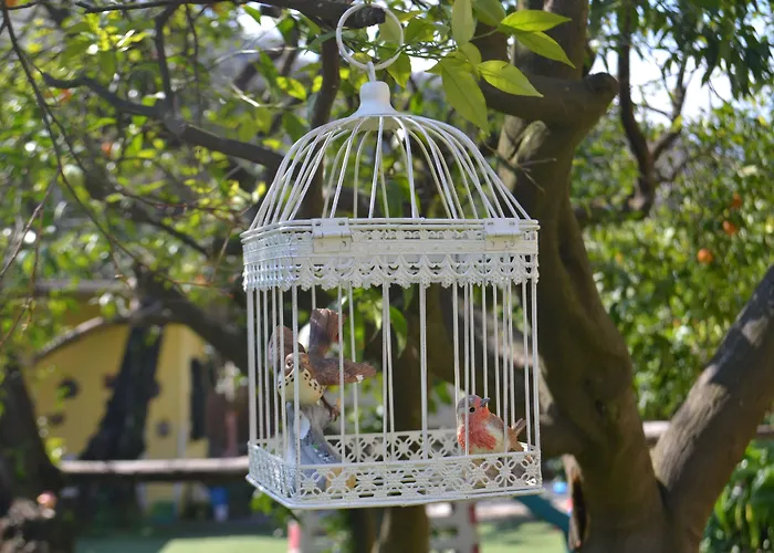 Experience 4* Sorrente