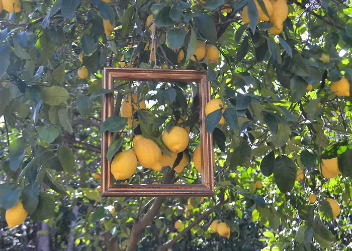 Couette-café Experience 4*