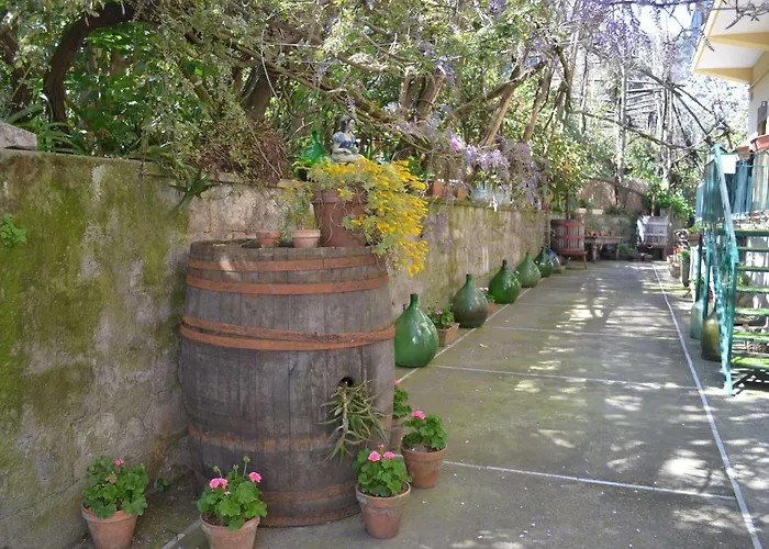 Couette-café Experience 4*