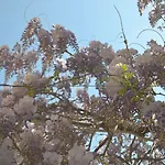 Bed & Breakfast Experience Sorrento